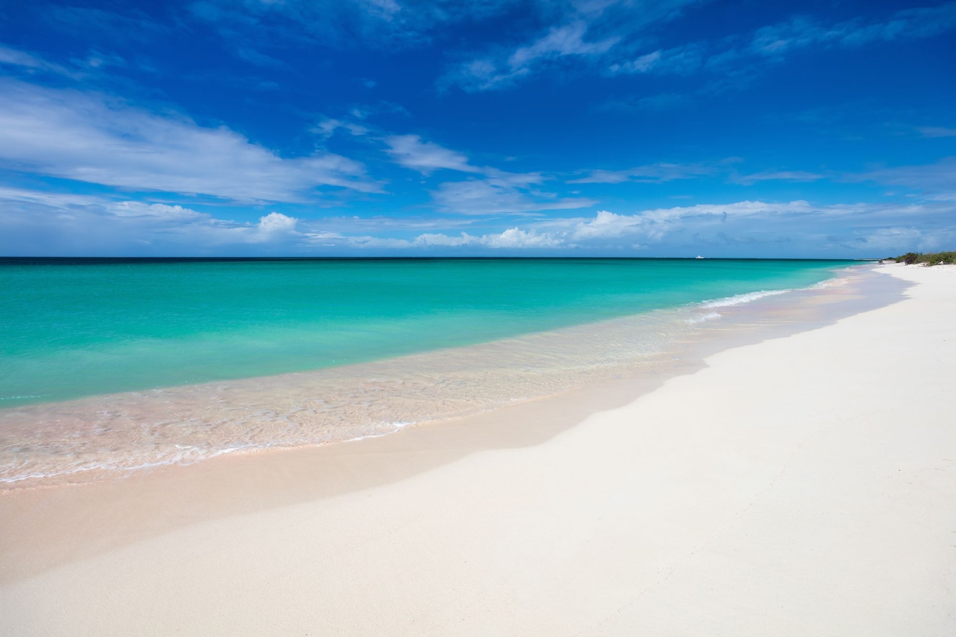 shutterstock_366794333