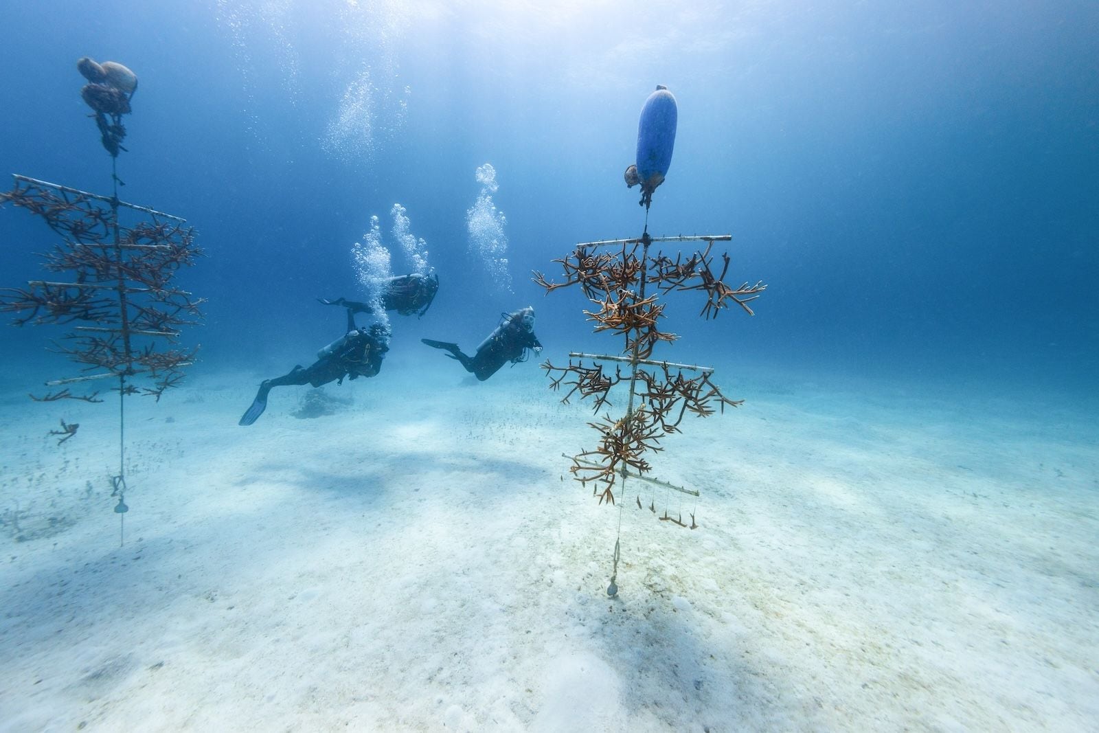 Dive-Experience-18