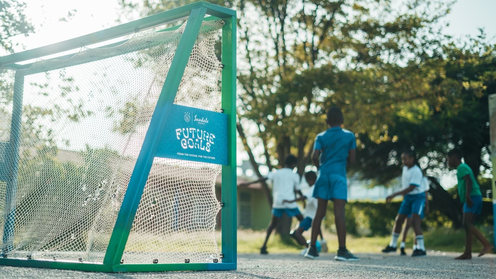 Future-Goals-10