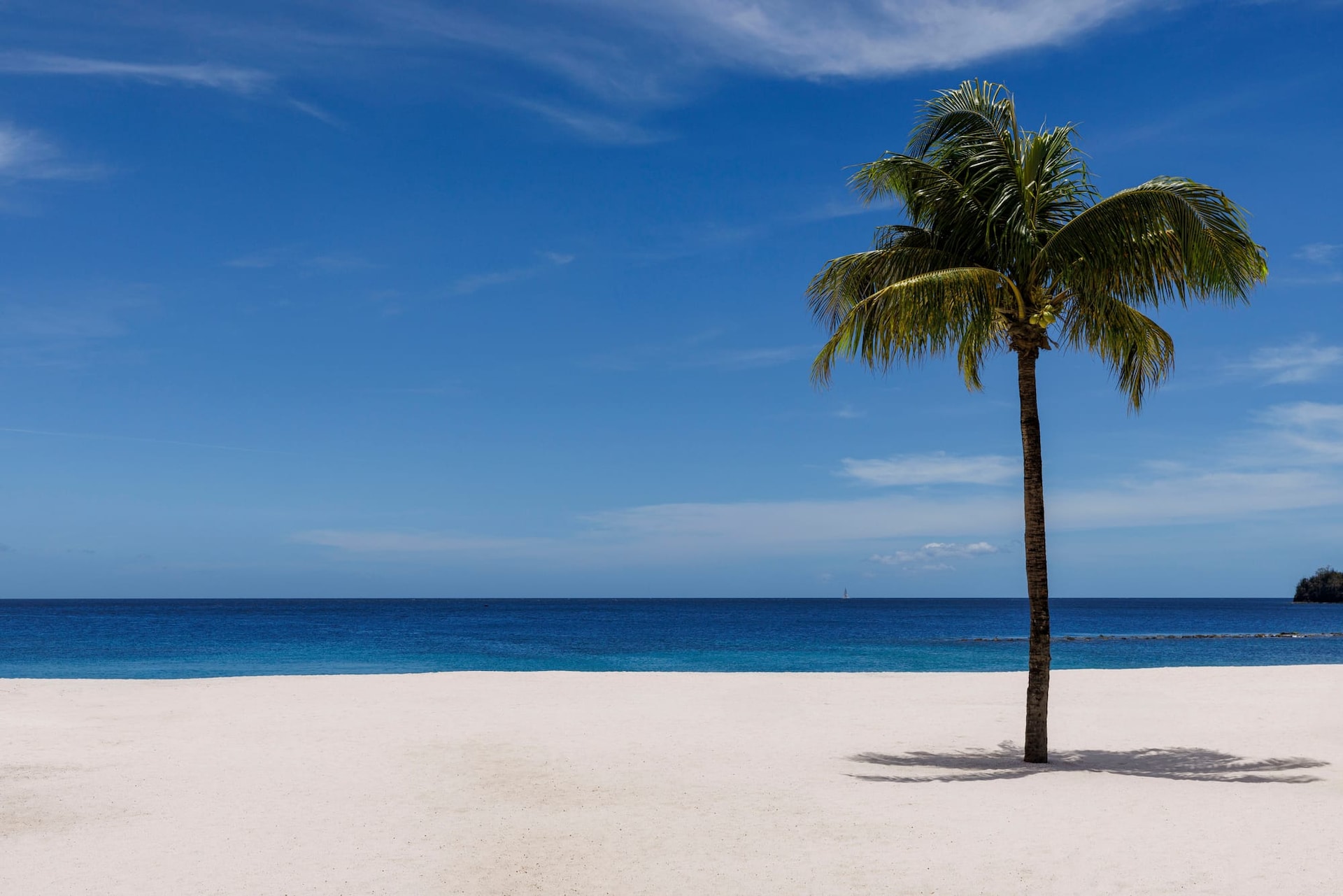 JPG Version-SSV-Beach-Ocean-Palm-Trees.jpg
