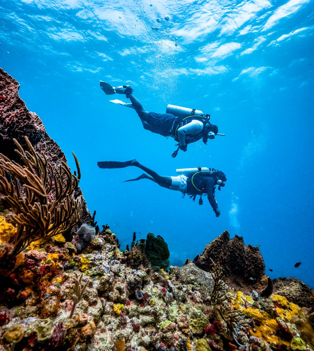 Go on a Scuba Diving Adventure