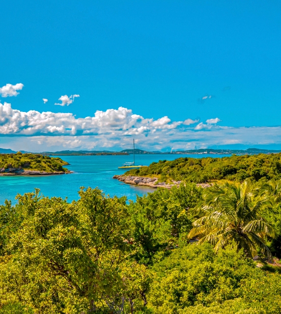 Great Bird Island