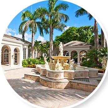 palms and fountain