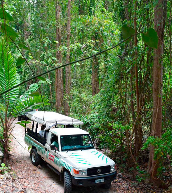 Barbados Discover Jeep Safari