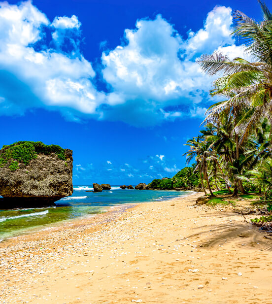 Bathsheba Beach