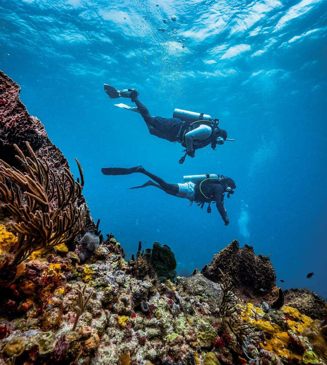 Go On A Scuba Diving Adventure