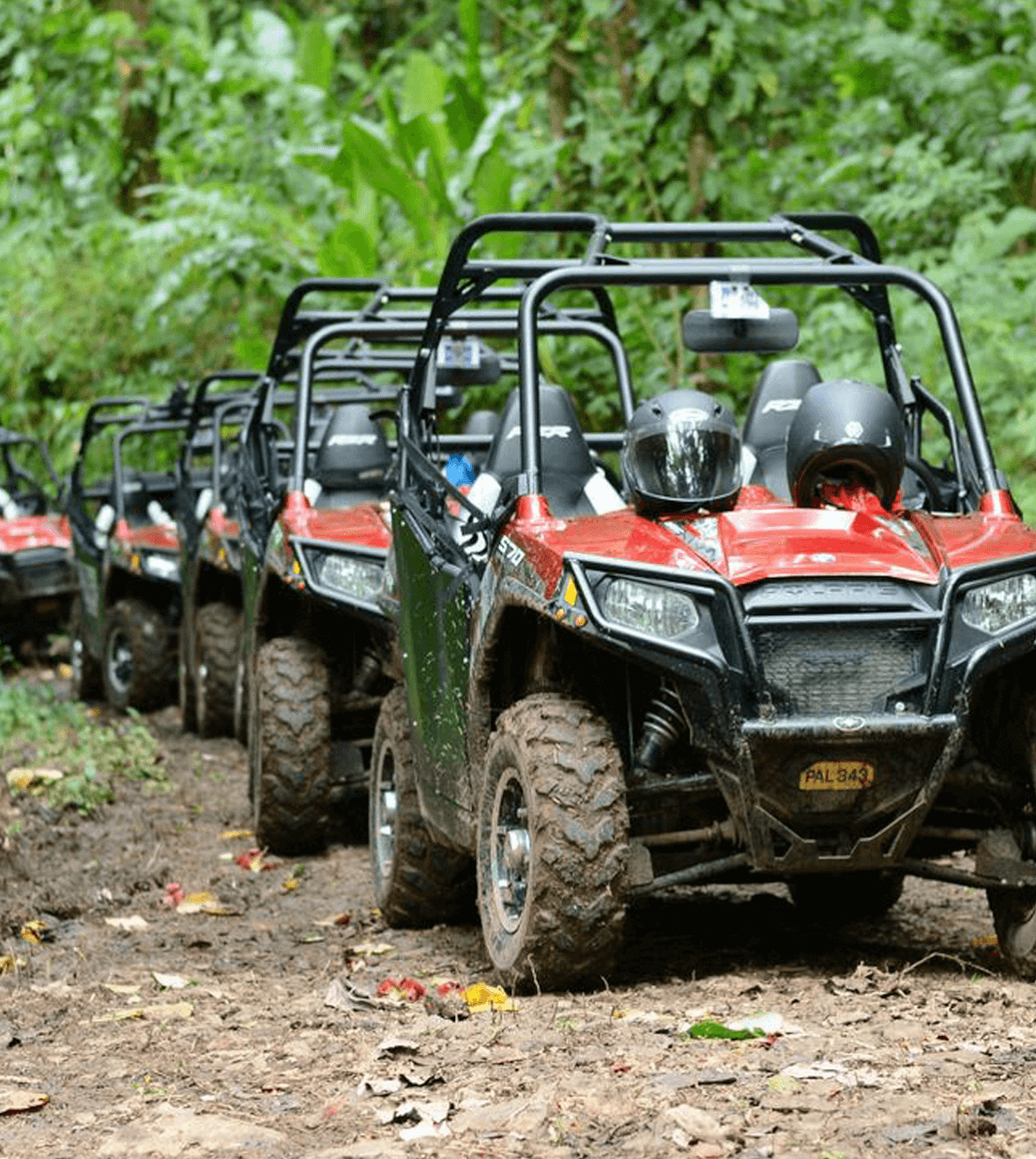 Grenada Rainforest & Waterfall Dune Buggy Tour