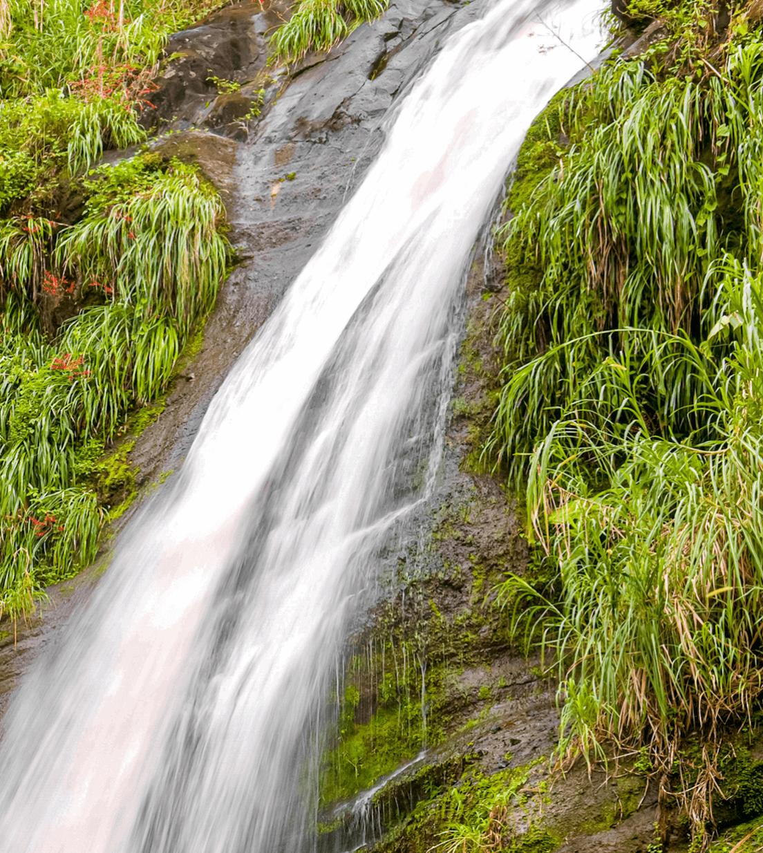 Concord Falls