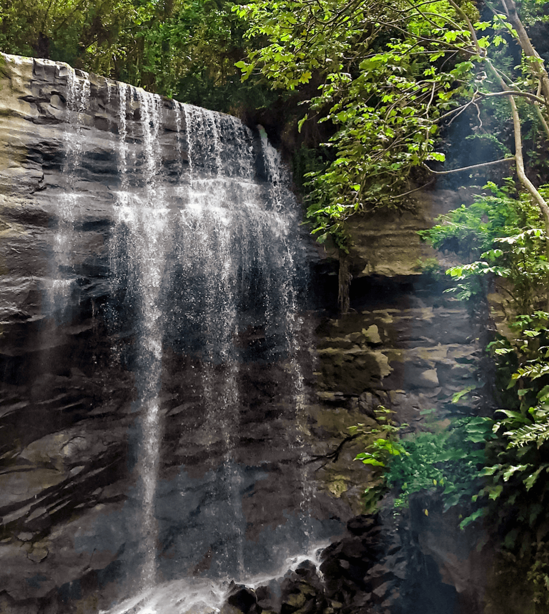 Royal Mount Carmel Waterfalls