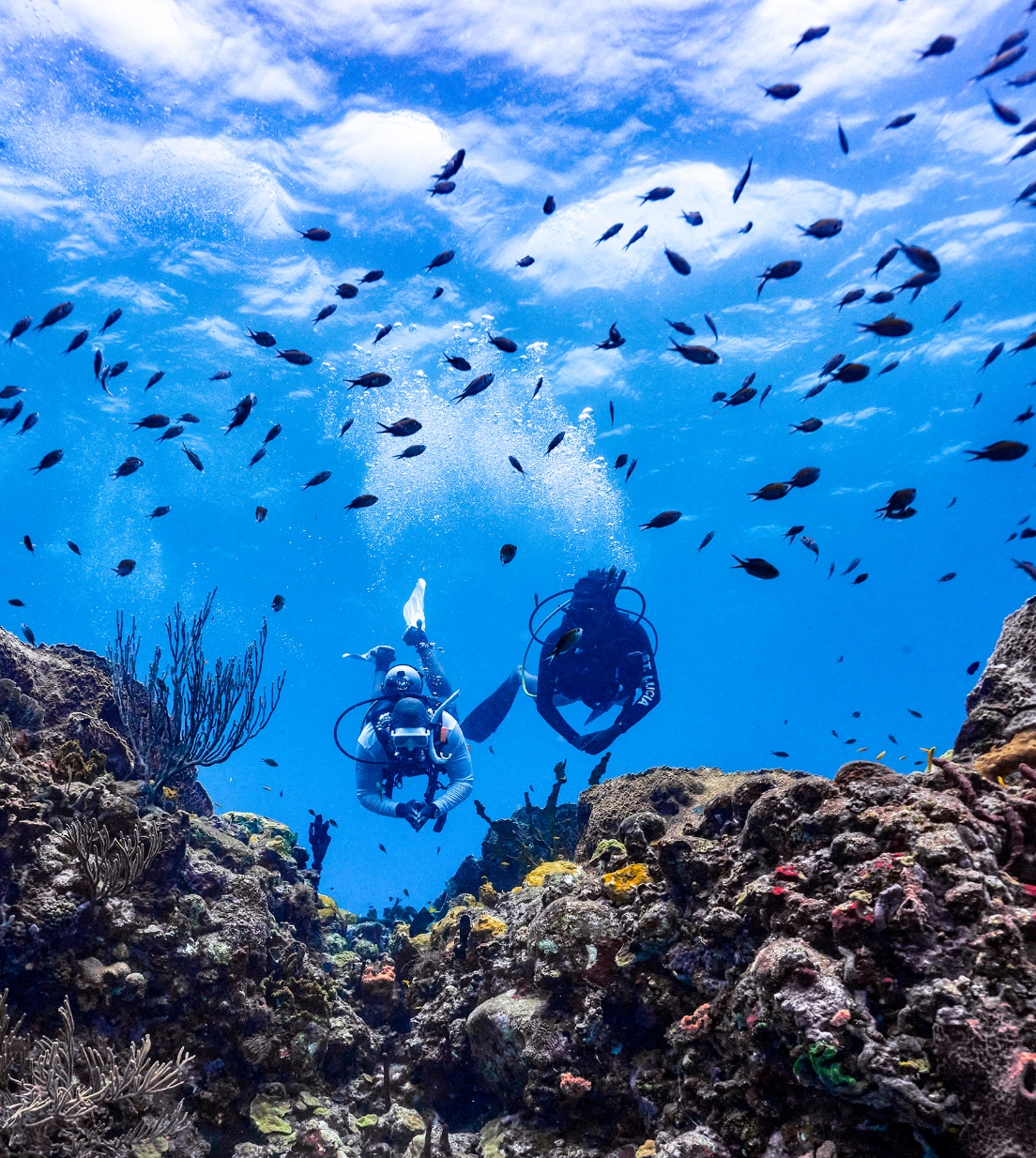 Go on a scuba diving adventure