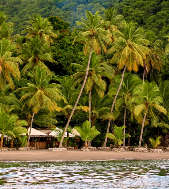 Anse Mamin Beach