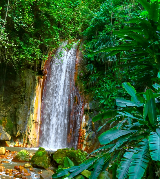 Diamond Falls Botanical Gardens