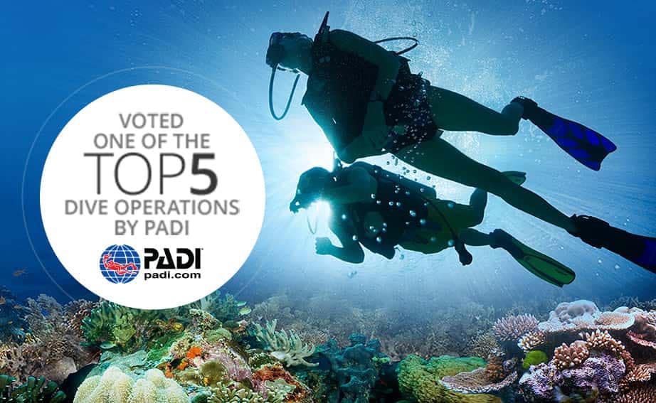 Sandals Royal Caribbean Resort in Montego Bay, Jamaica Sandals