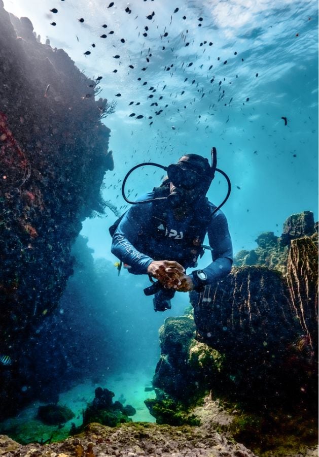 Scuba diving