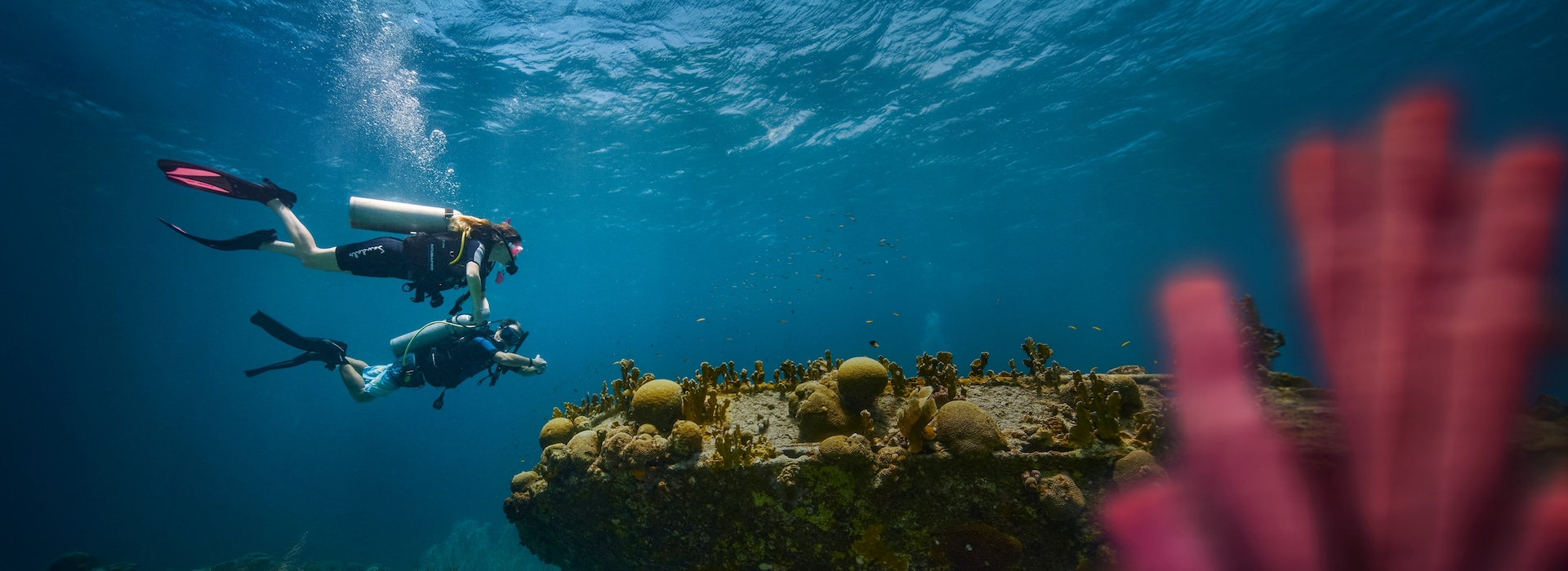 Two Divers Under the Sea