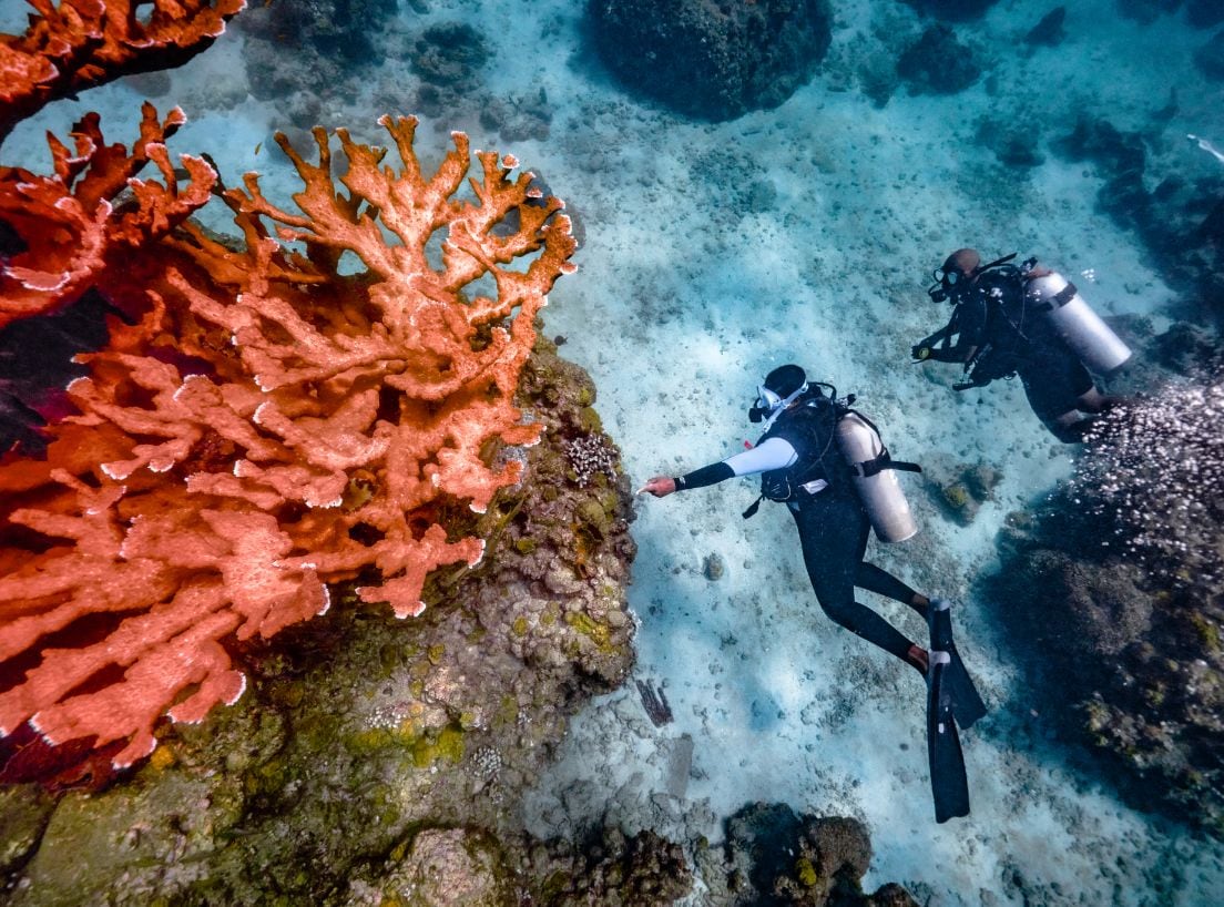 First-Time Divers