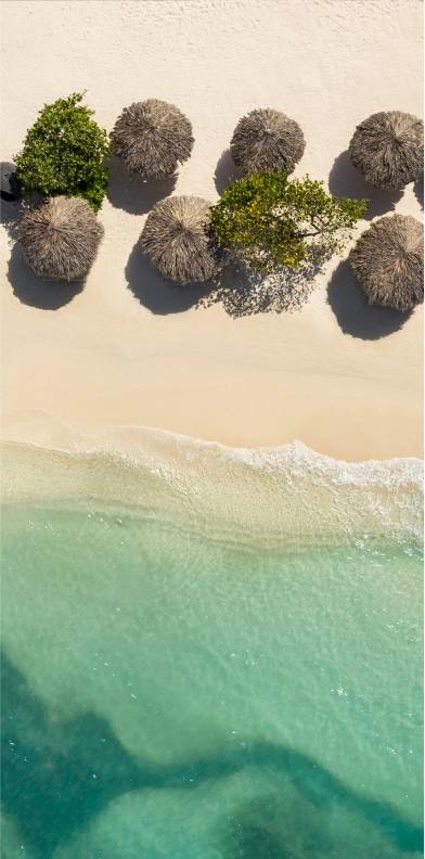 Sandals Montego Bay image 1