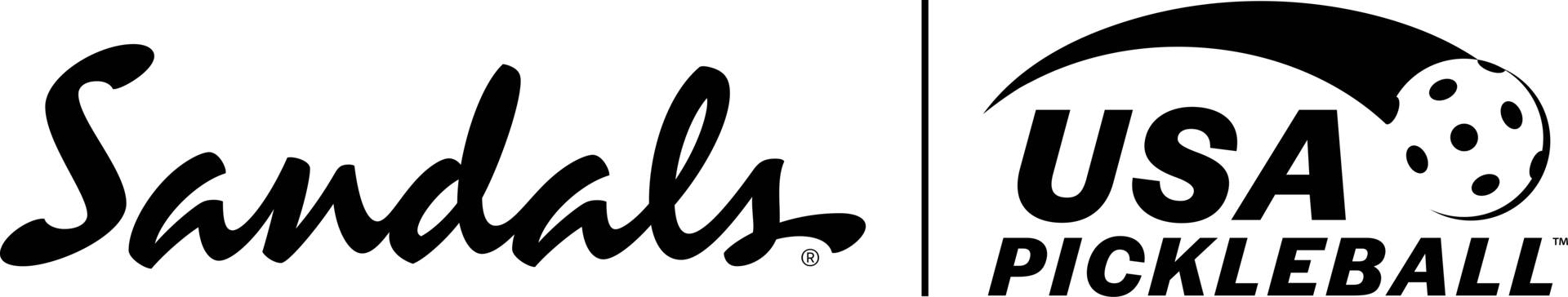 Pickleball Logos