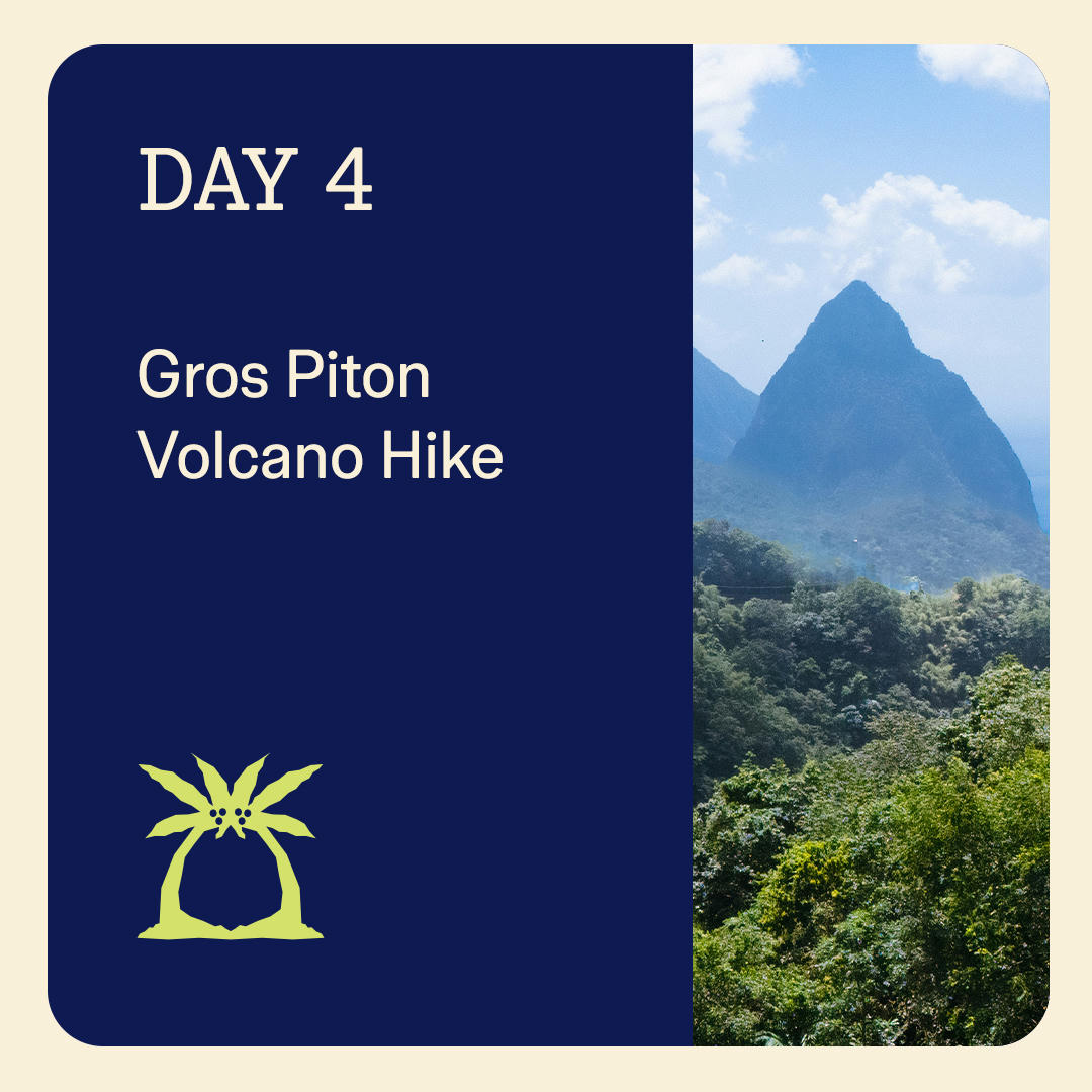 day4
