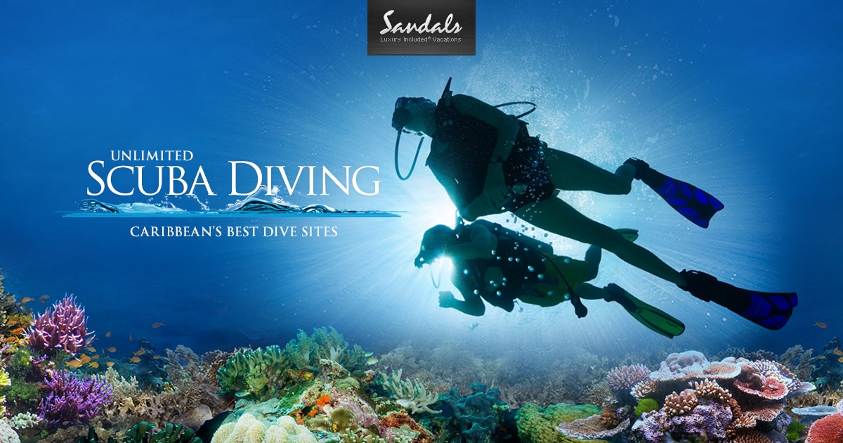 Certified Scuba Divers Padi And Dan Certifications Sandals