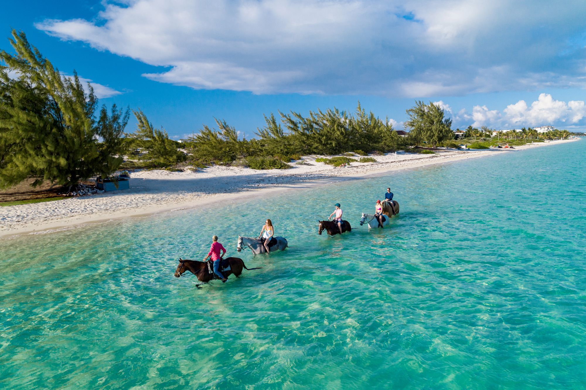 221213_BeachesTC_S26_DRONE_Horses_09216_SB_RGB--1-.jpg