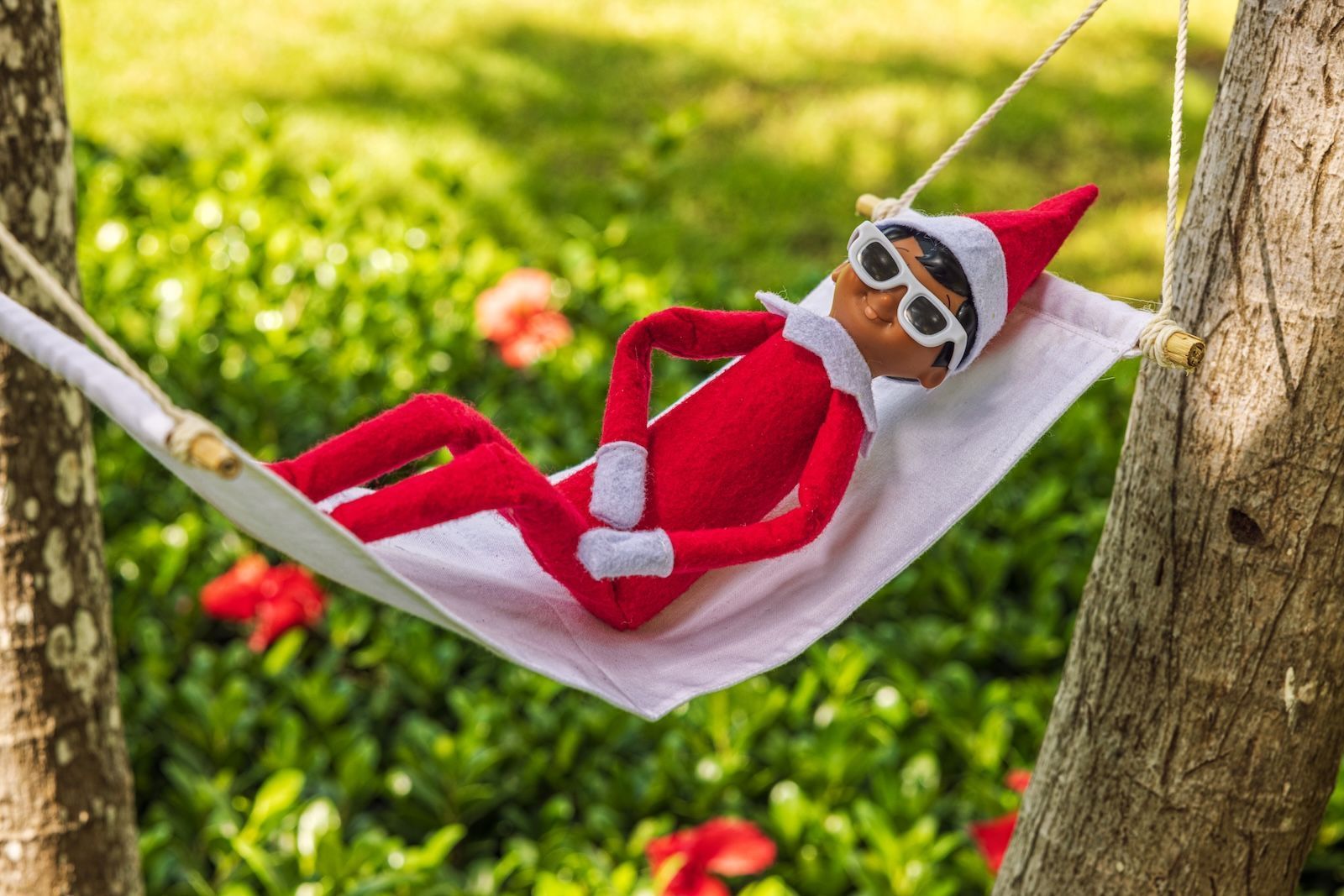 5.-BeachesResorts-TheElfonTheShelf-ScoutElf-Hammock-1.jpg