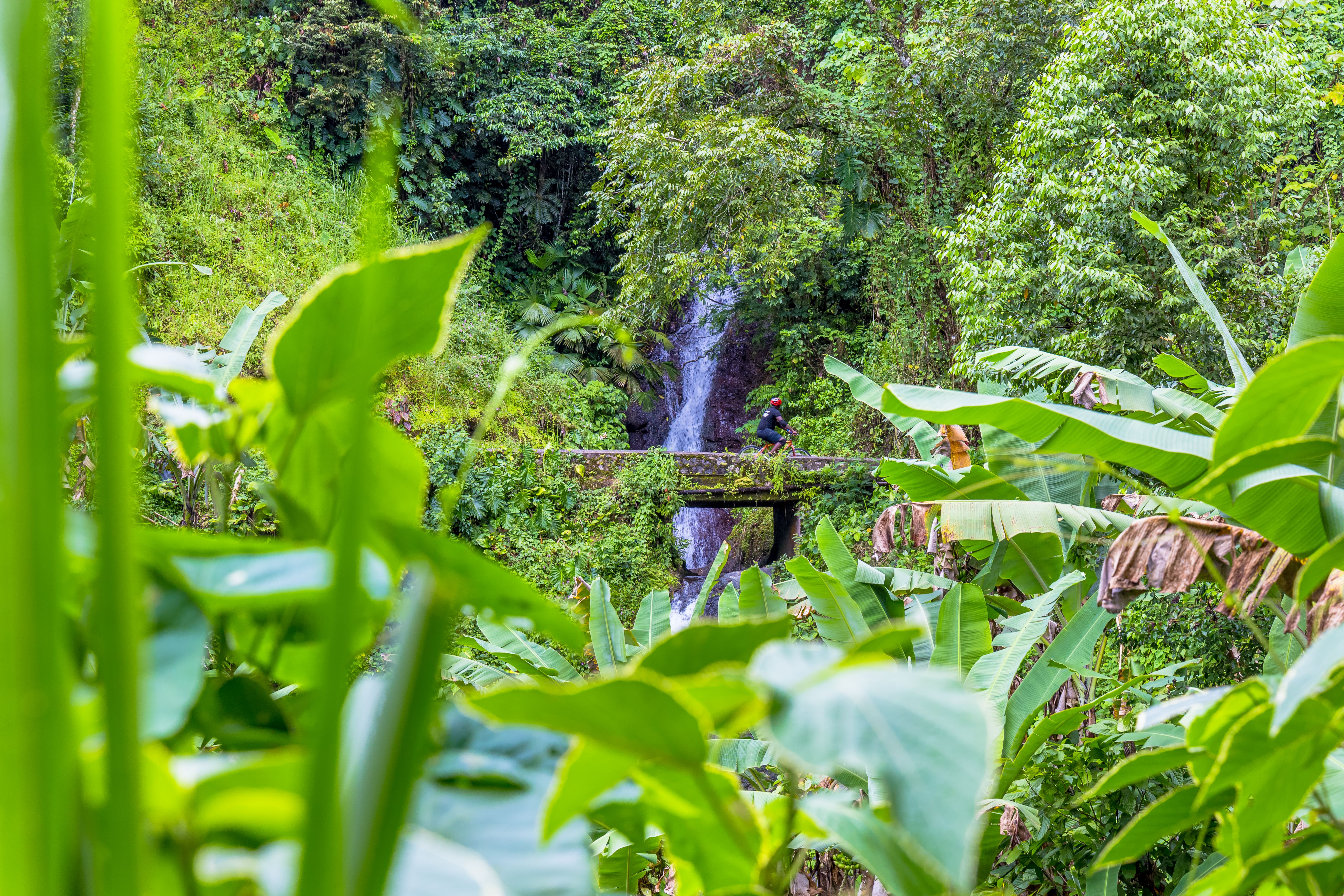 blue-mountains-jamaica