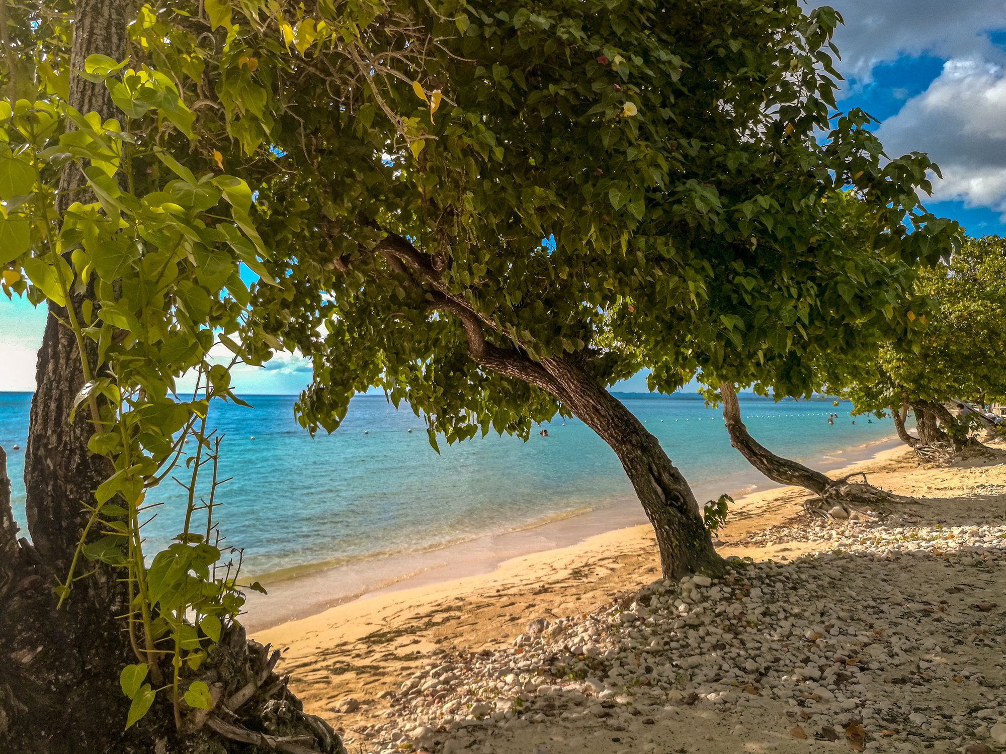 Bluefields-Beach-South-Coast-Jamaica.jpg