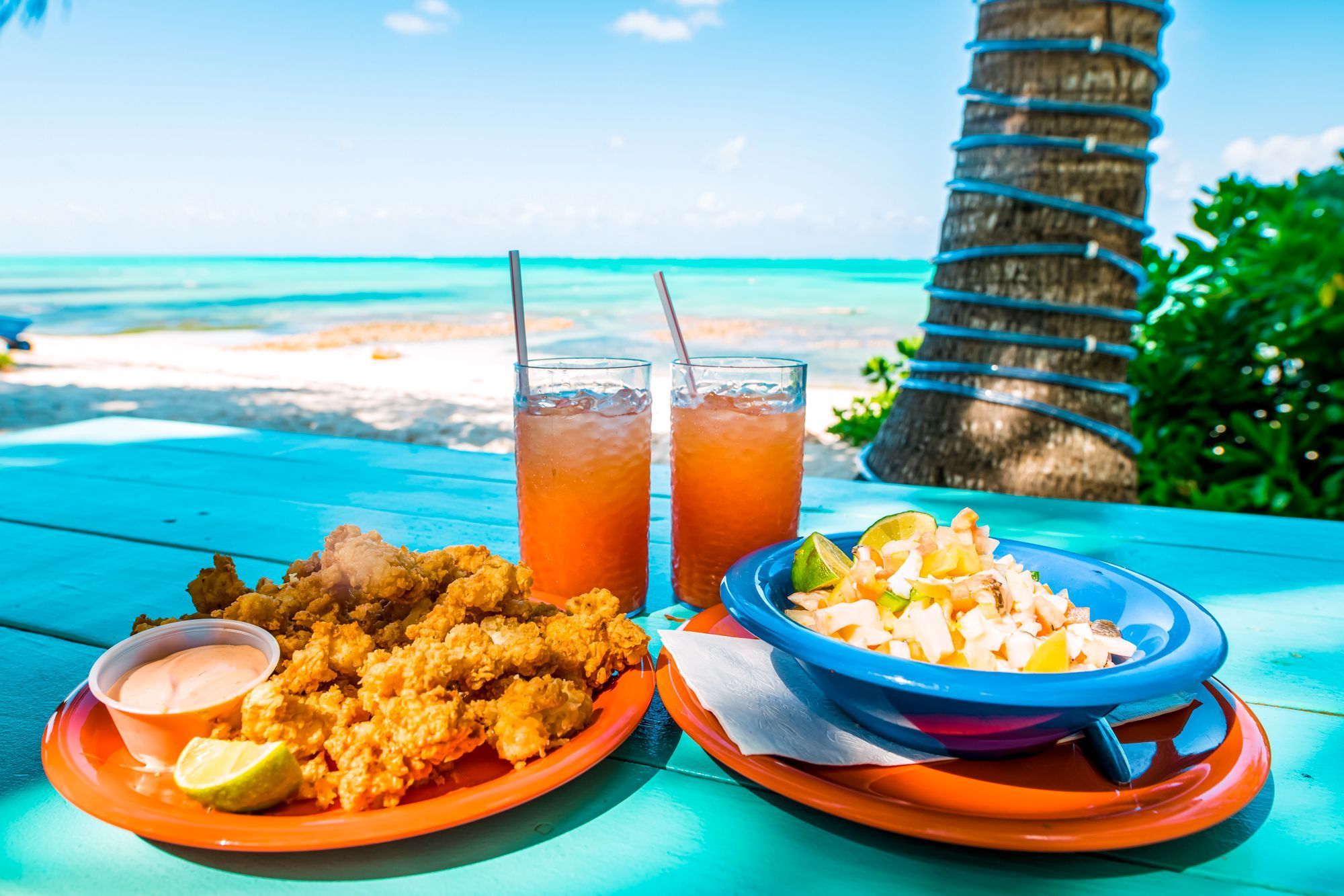 Conch image