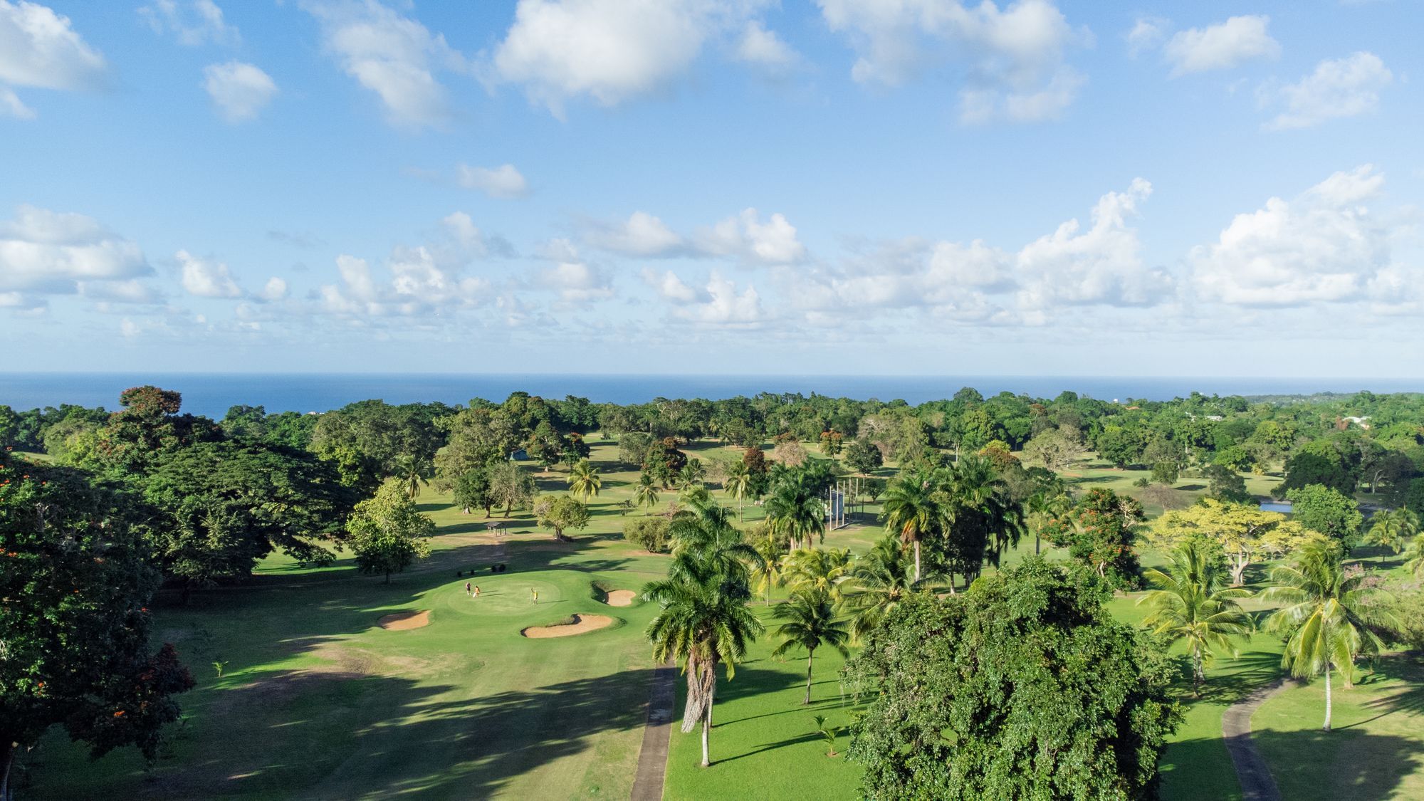 DJI image