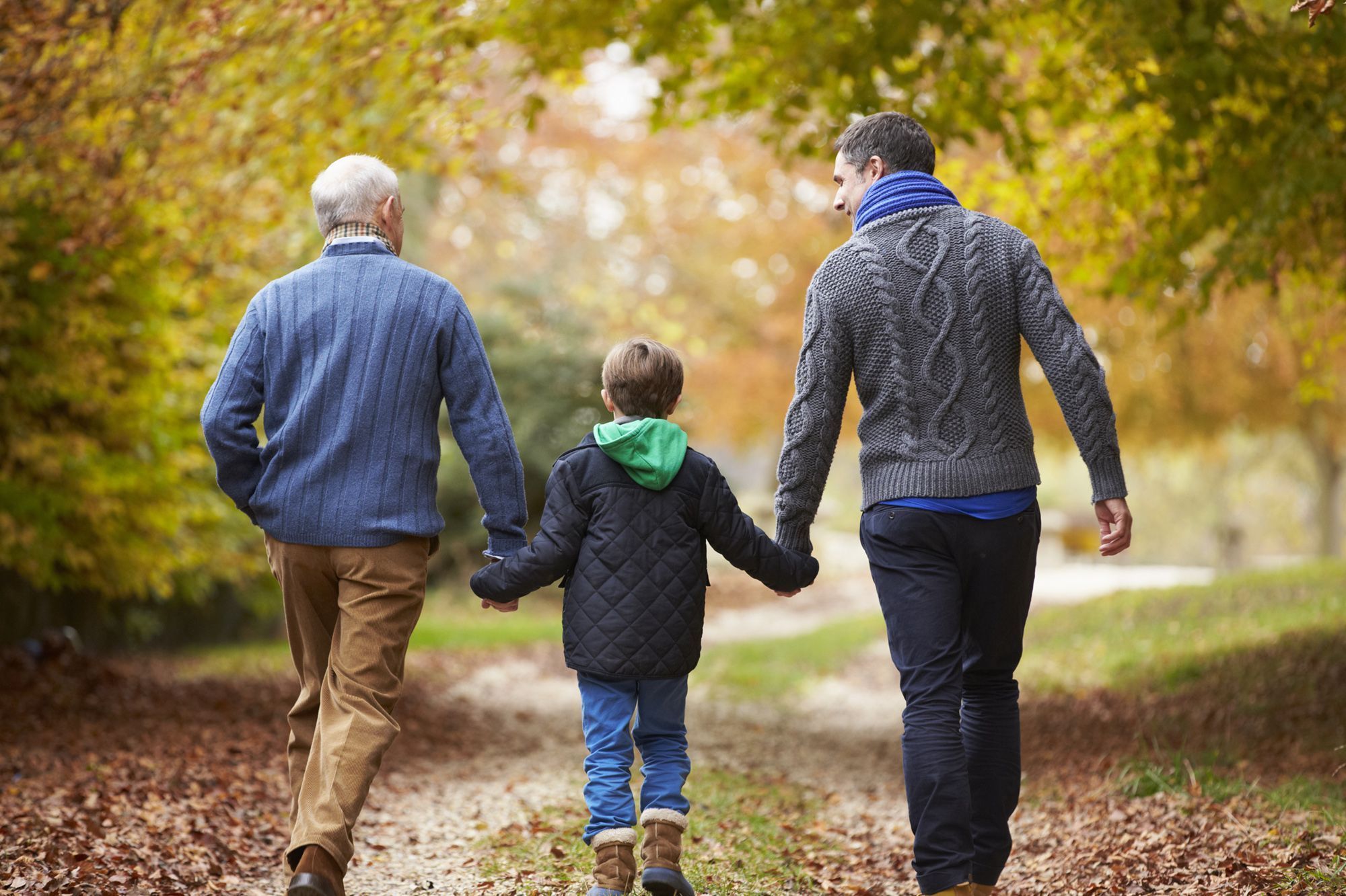 Genealogy image
