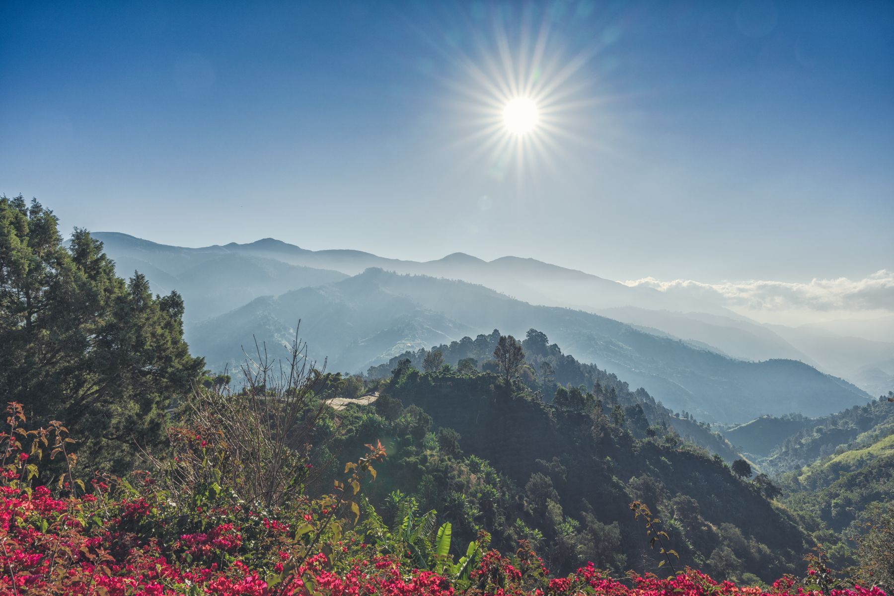 High-up-in-the-Blue-Mountains-in-Jamaica.jpg