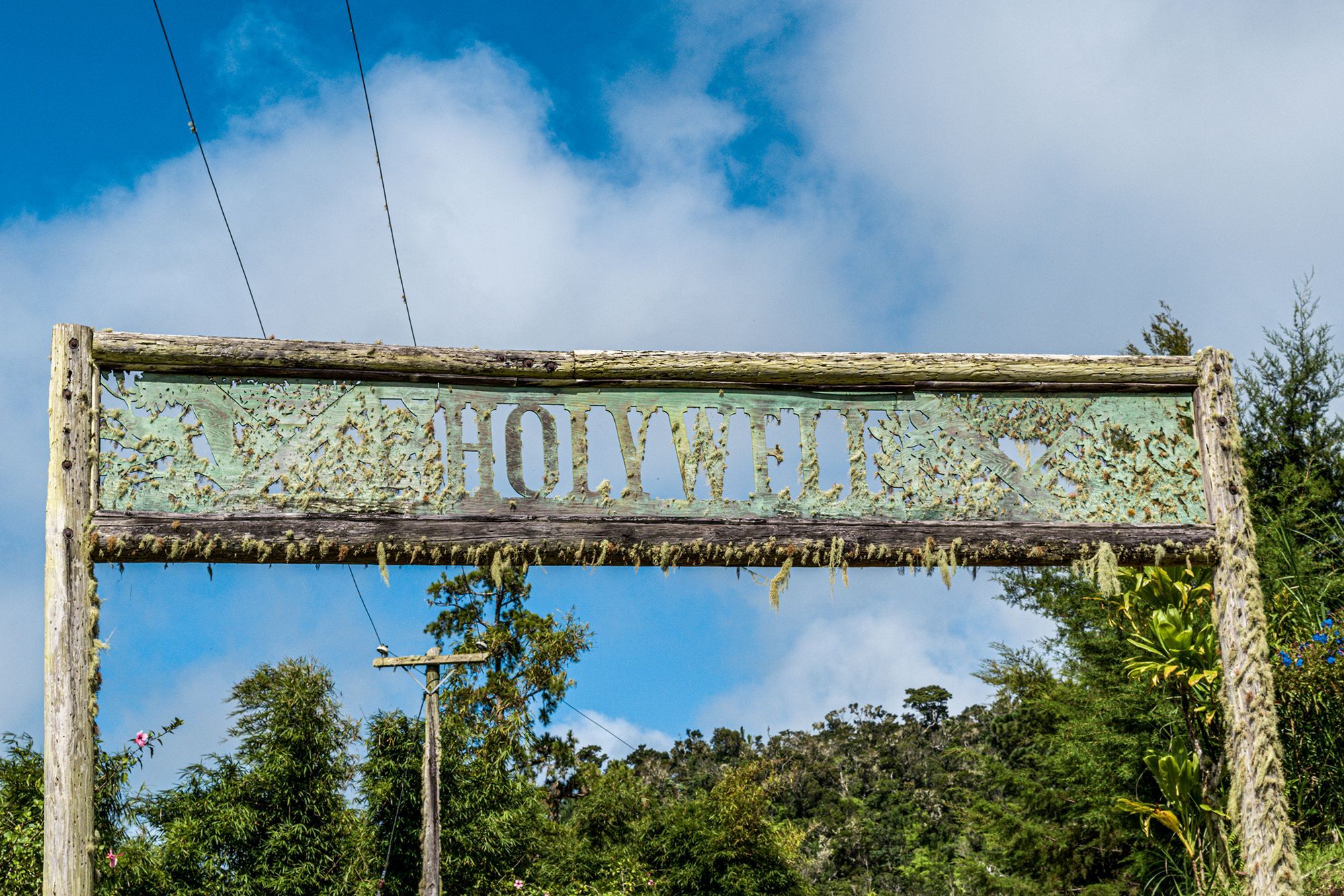 Holywell-Park-Jamaica.jpg