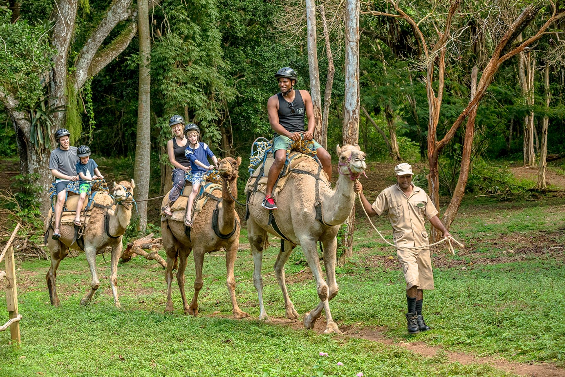 IR_JAMAICA2015-1287-camel-park.jpg