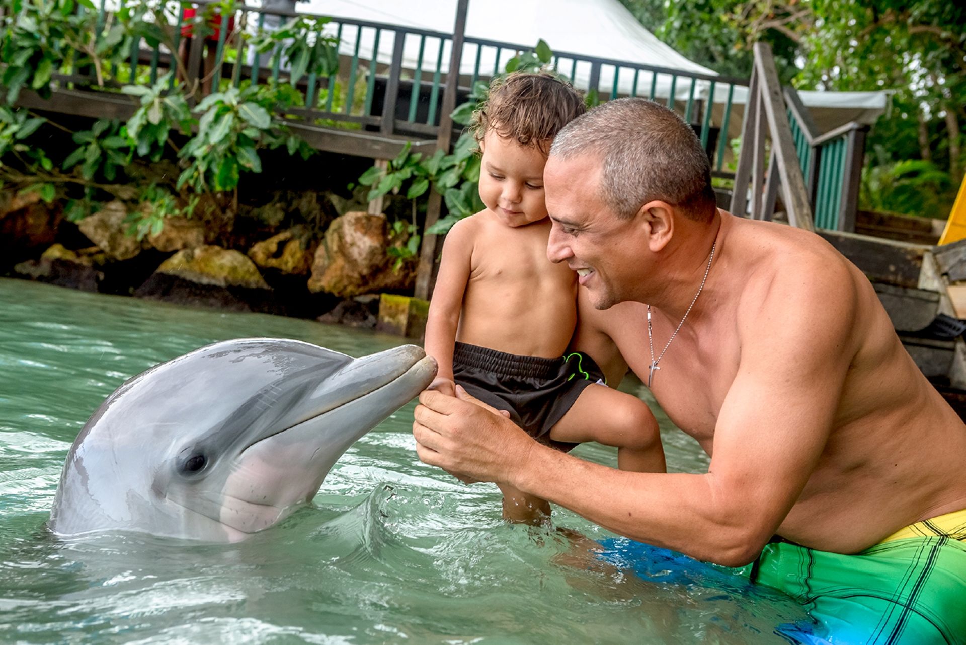 IR_JAMAICA2015-721-dolphin.jpg