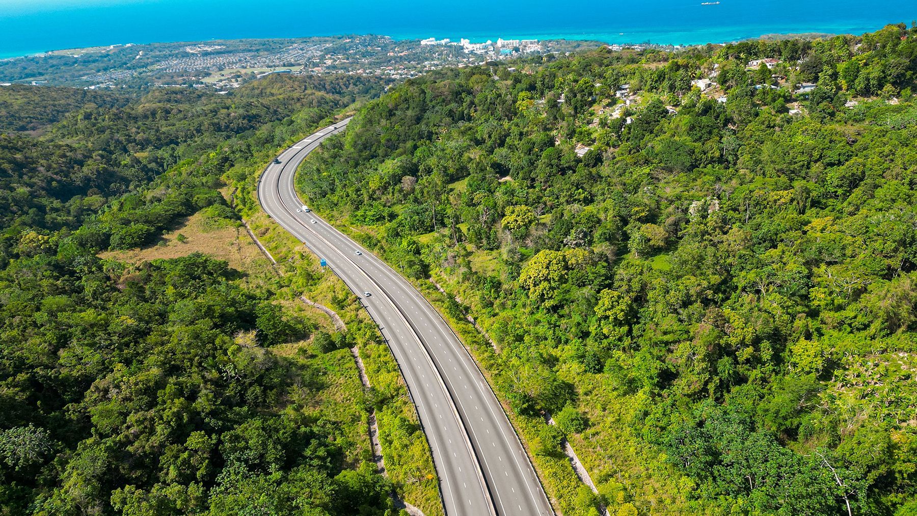 Jamaica-Fern-Gully-Road-Ocho-Rios.jpg