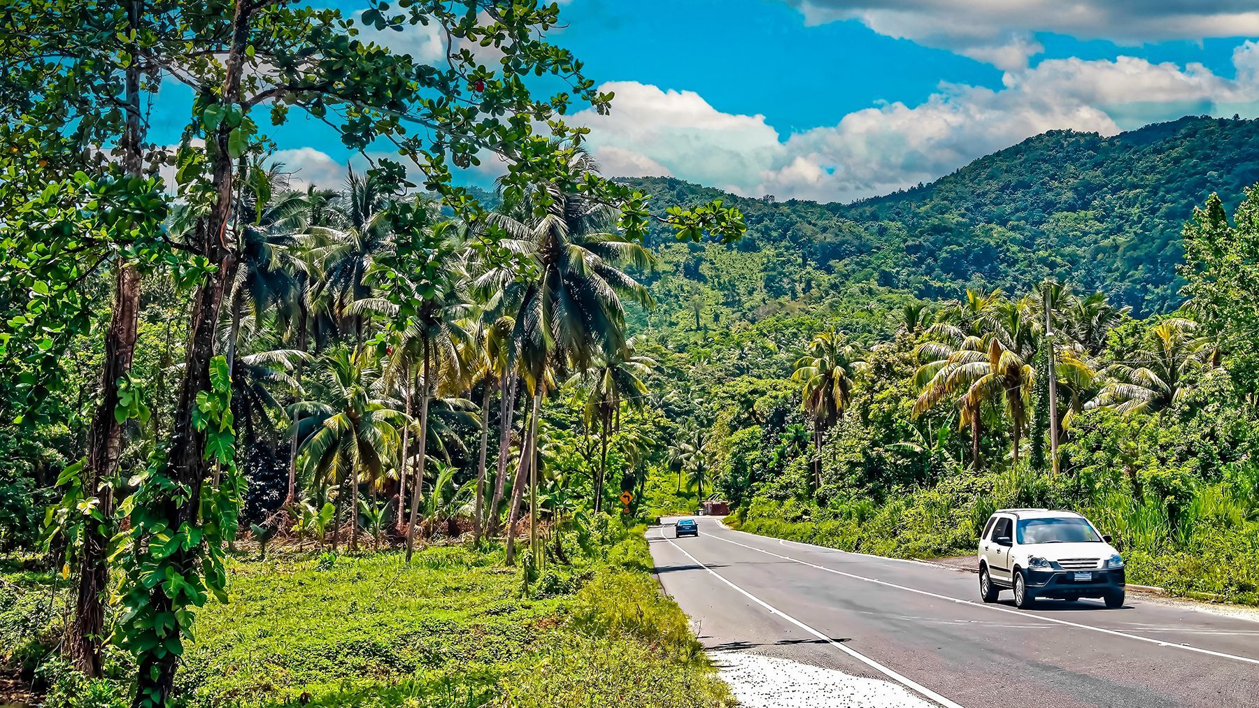 Jamaica-Fern-Gully-Road-View.jpg