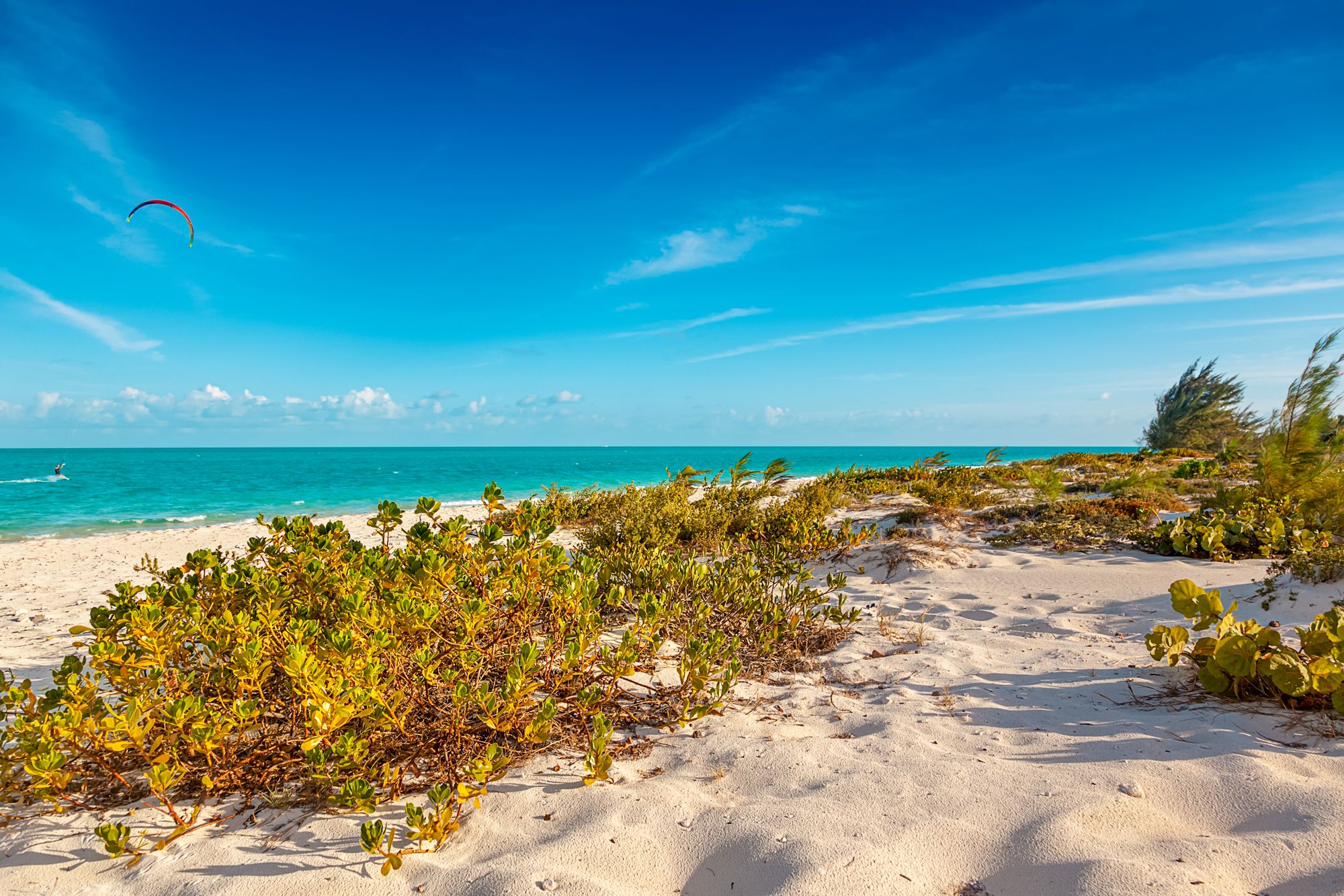 Long-Bay-Beach-Turks-Caicos_o.jpg
