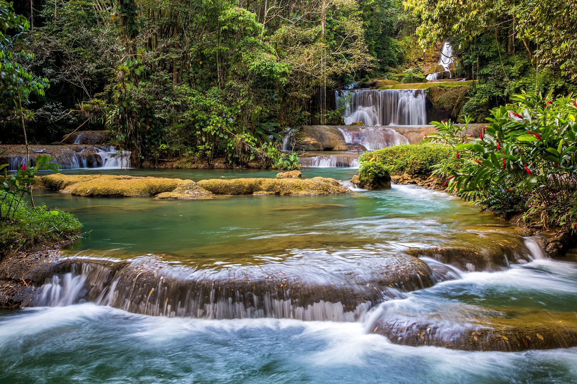 Mayfield-Falls-Westmoreland-Jamaica.jpg