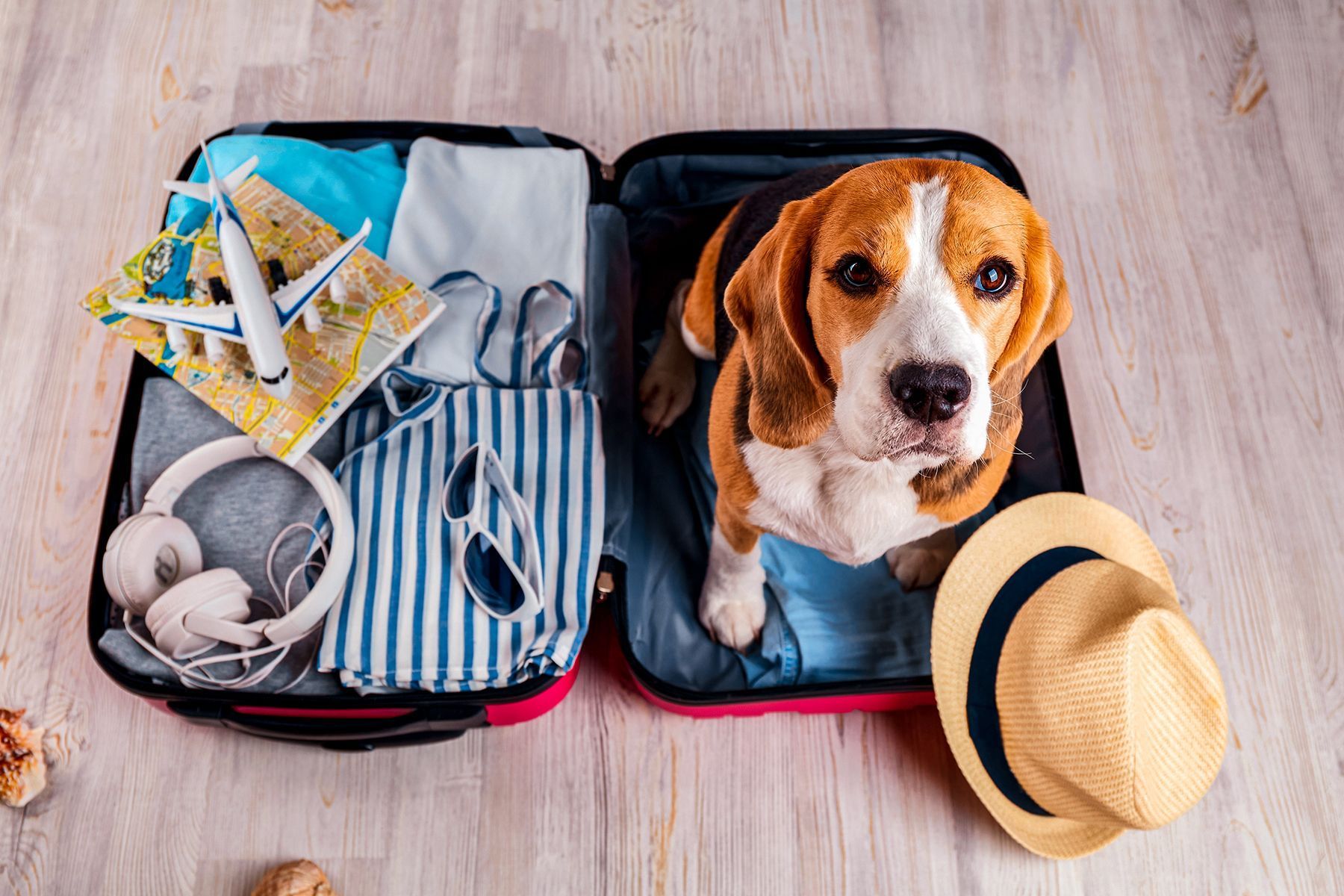 Packing image