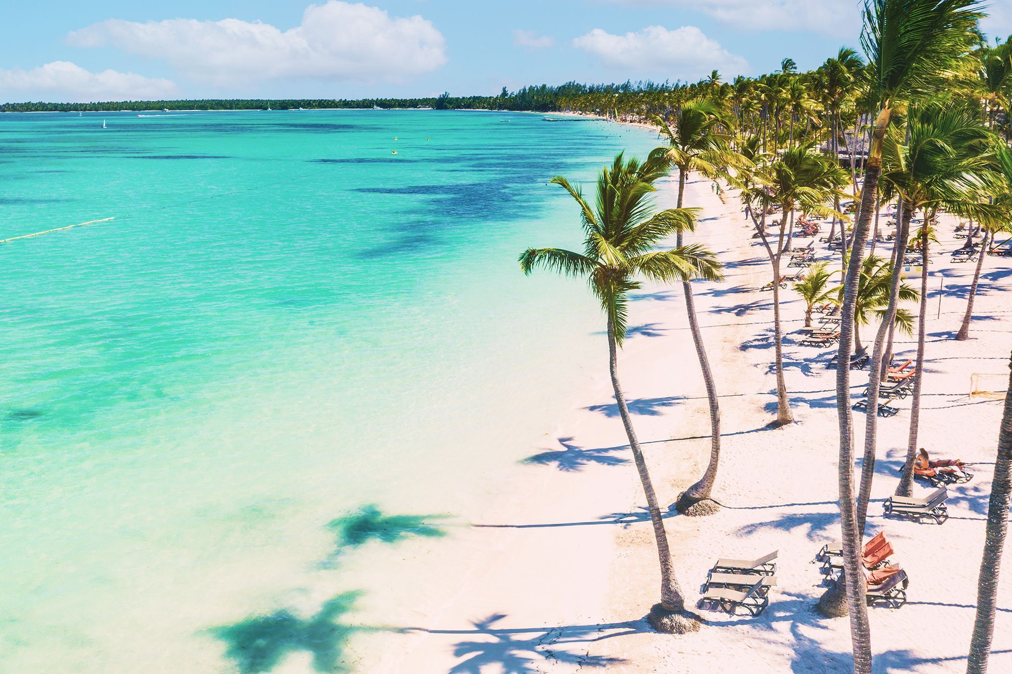 Punta image