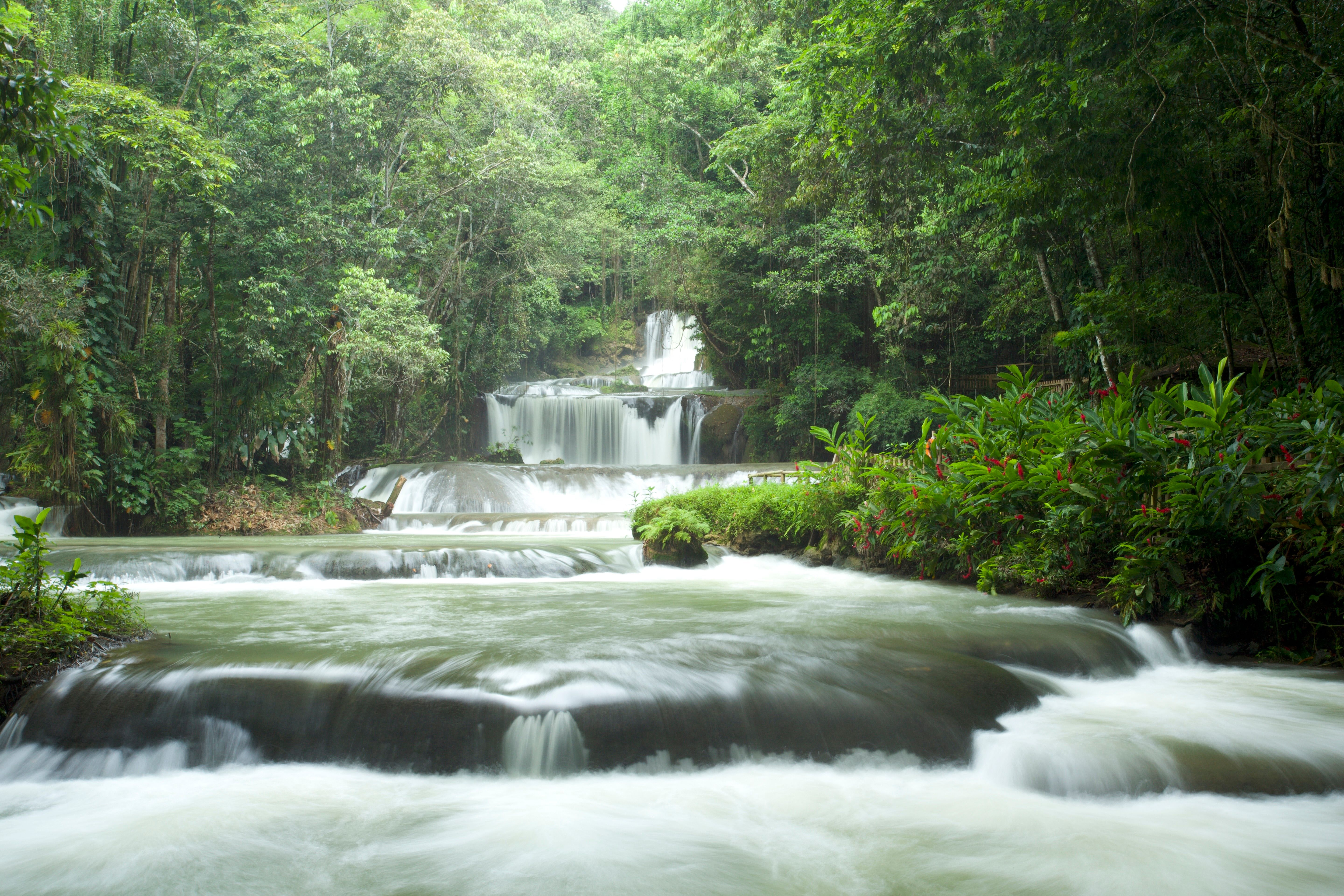 SWH_YS_Falls_0206.jpeg