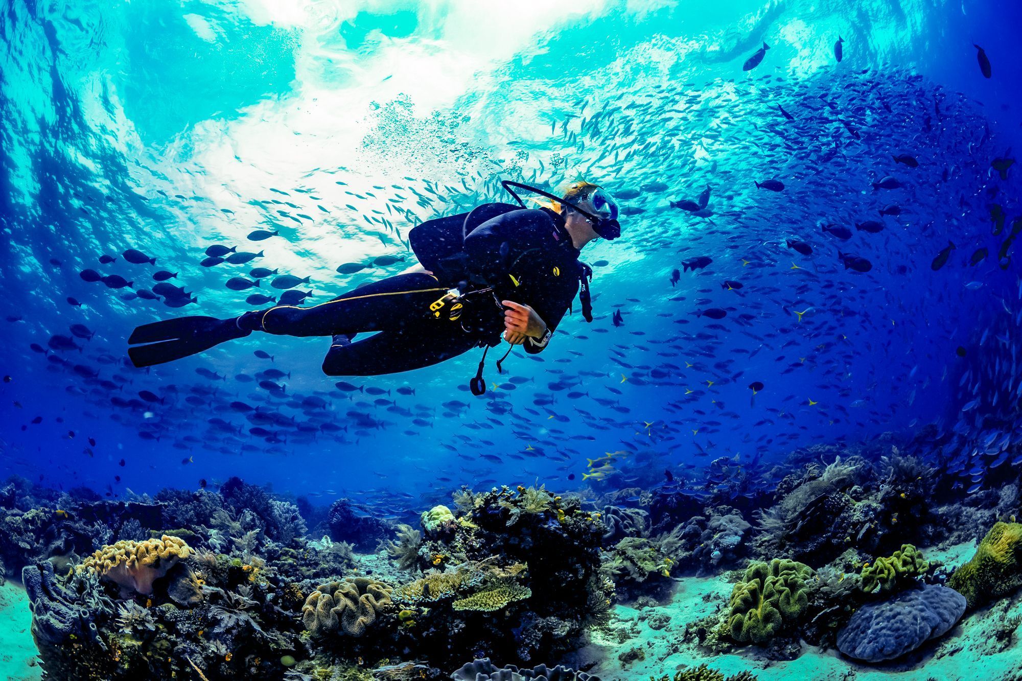 Scuba image