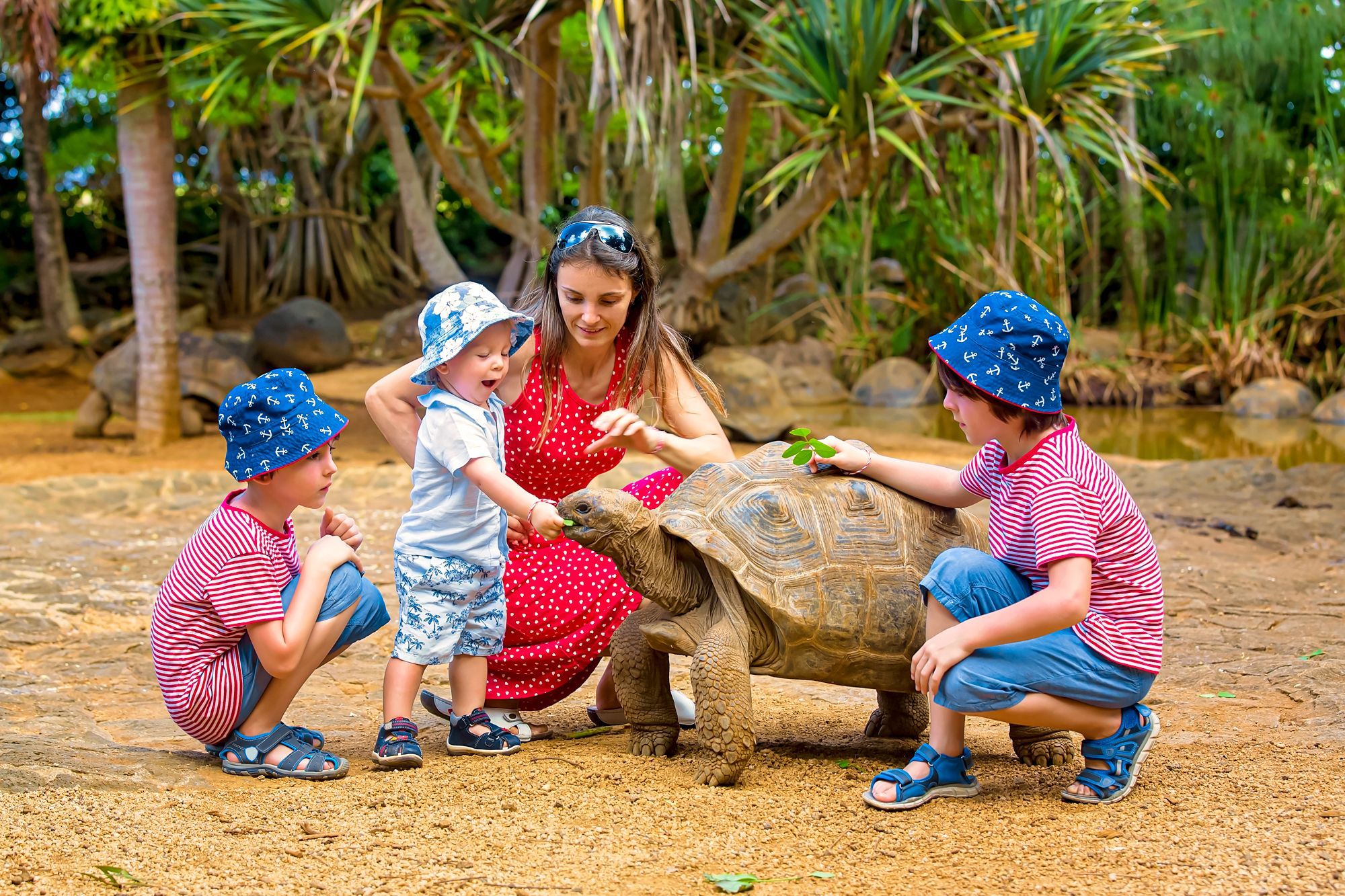 Toddlers-Tortoise-Wildlife-Adventure.jpg