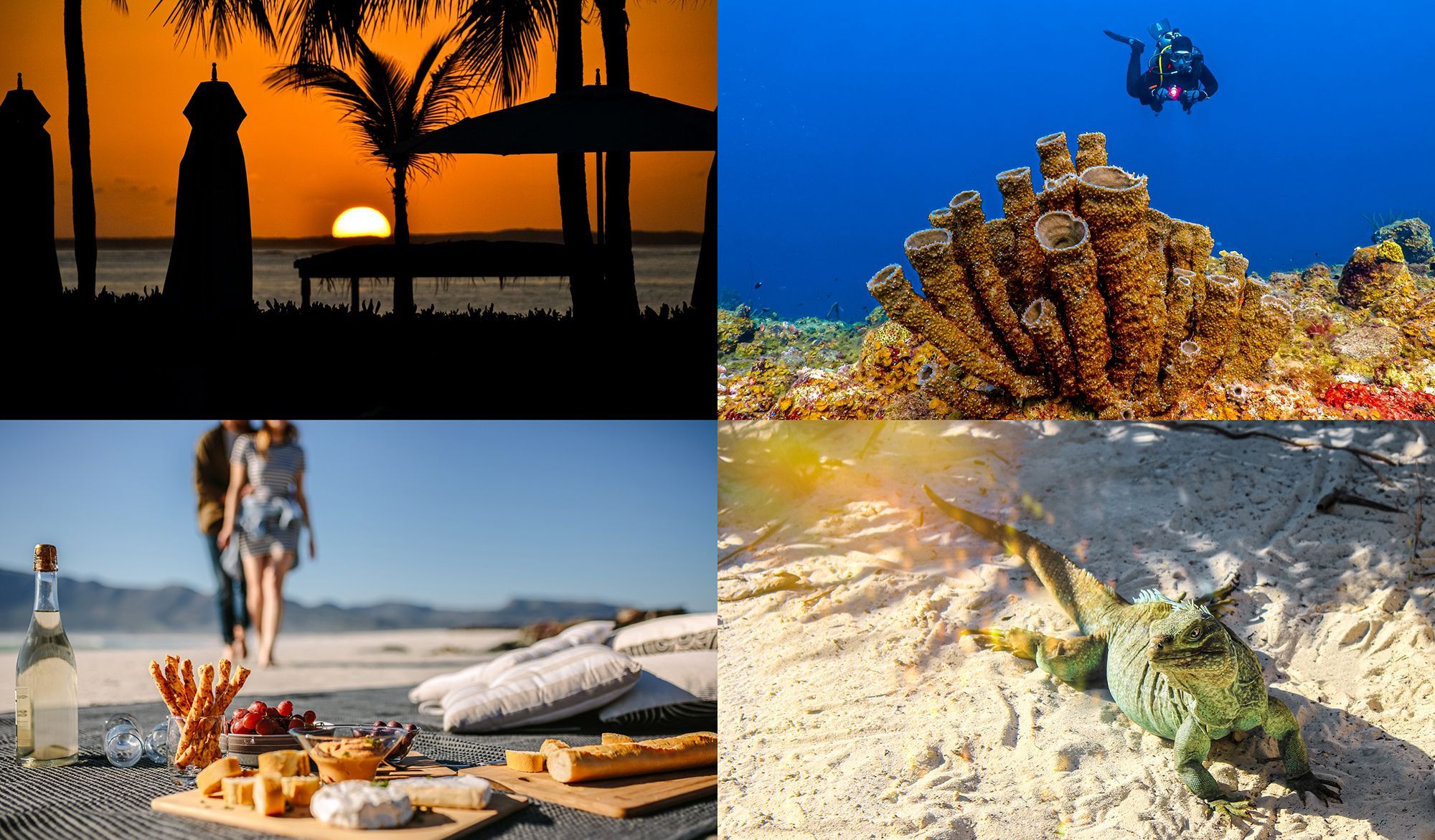 Turks-Caicos-Activities-Collage.jpg