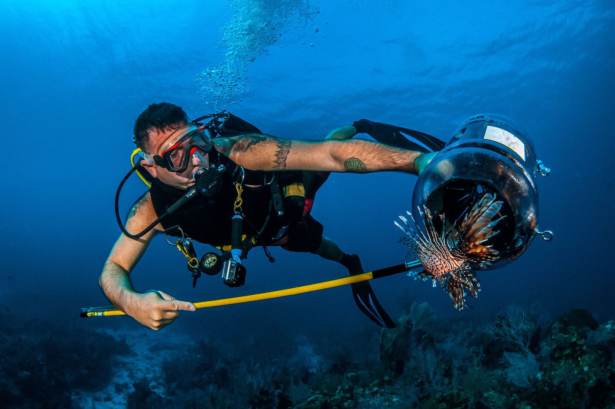 Turks-Caicos-Fishing-Lionfish-Hunting.jpg