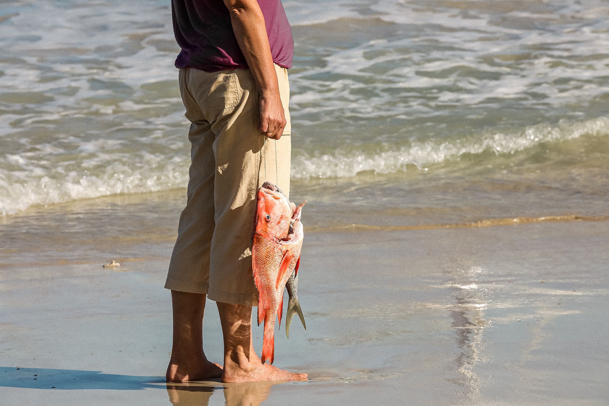 Turks-Caicos-Fishing-Snapper-Shore-Fishing.jpg