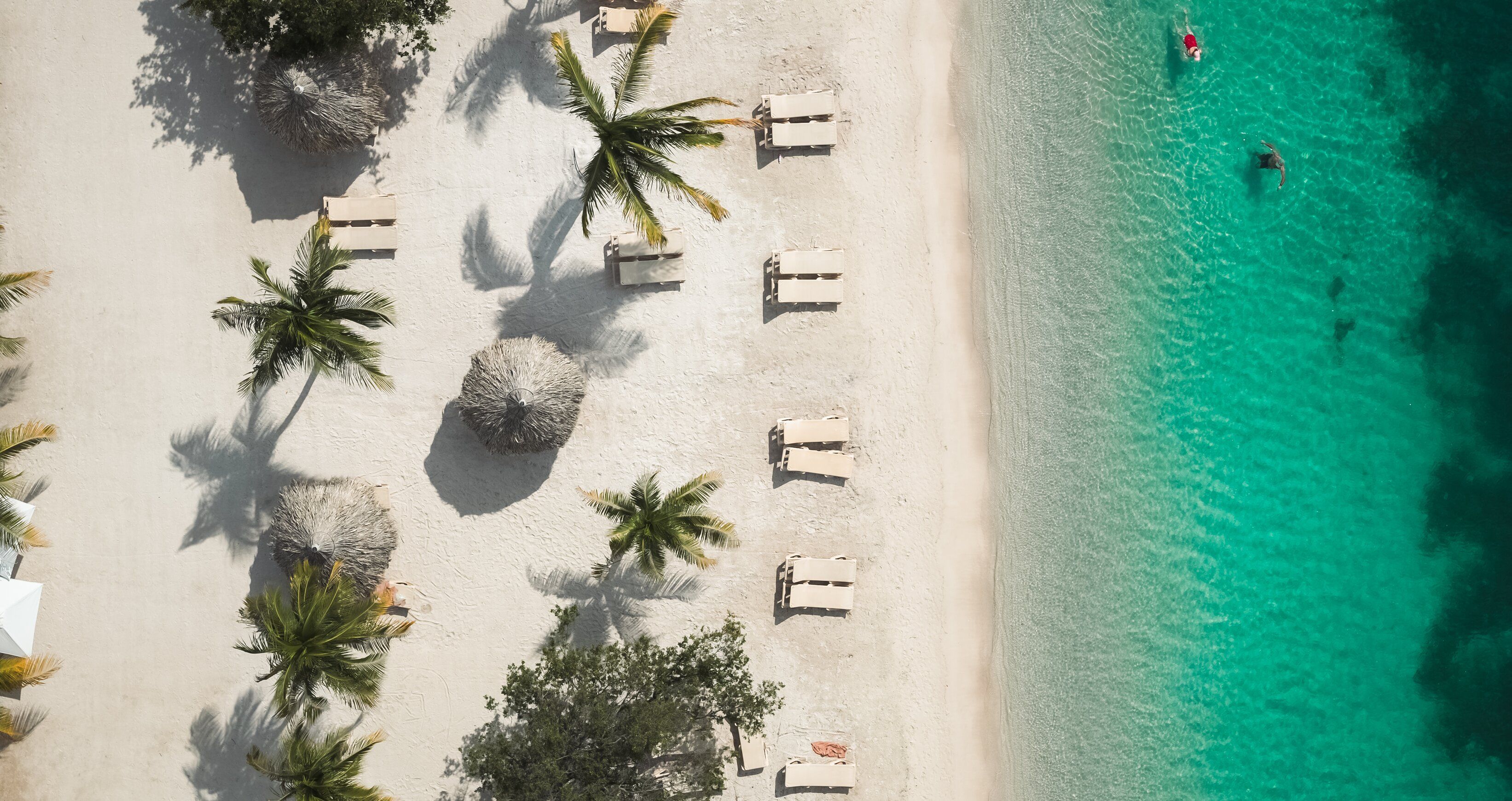 Web Version-SCR-Lifestyle-Birds-eye-5.jpg