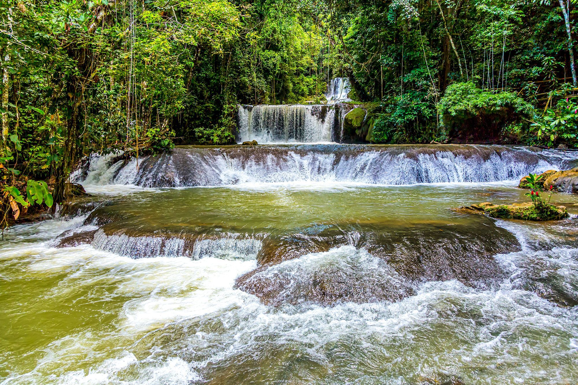 Westmoreland-Jamaica-Mayfield-Falls.jpg