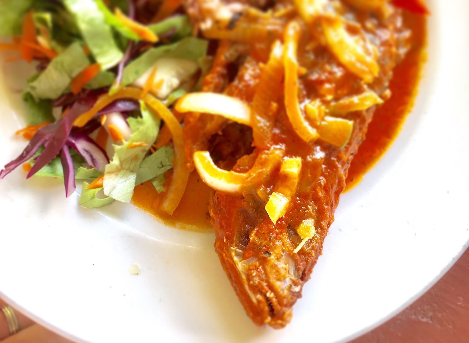 local-snapper.jpg